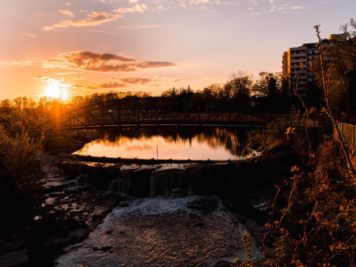 Waterloo Park